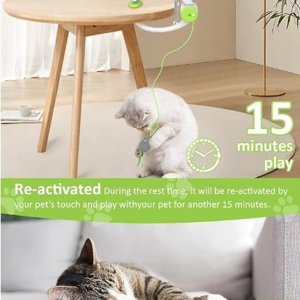 Hang Mouse - Automatic Interactive Cat toy