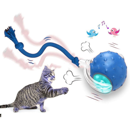 Rollie - Interactive Cat Ball