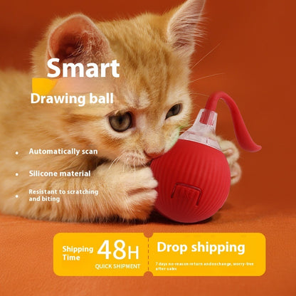 Rollie - Interactive Cat Ball